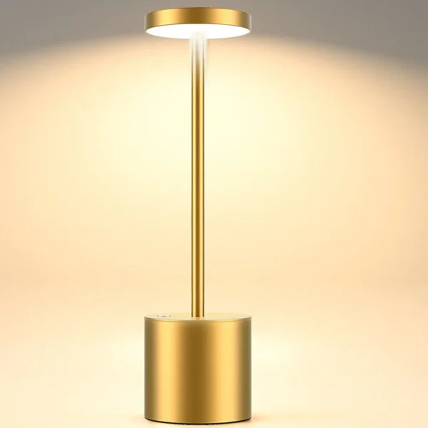 Lampe LED pour le jardin