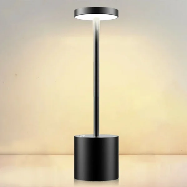 Lampe LED pour le jardin