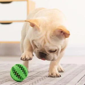 Chiens-jouets dentaires