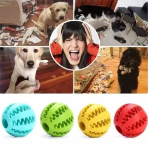 Jouets pour animaux
