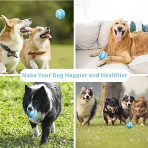 Balle à friandises pour chiens