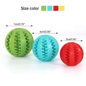 Chiens-jouets dentaires