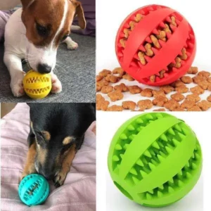 Jouets pour animaux
