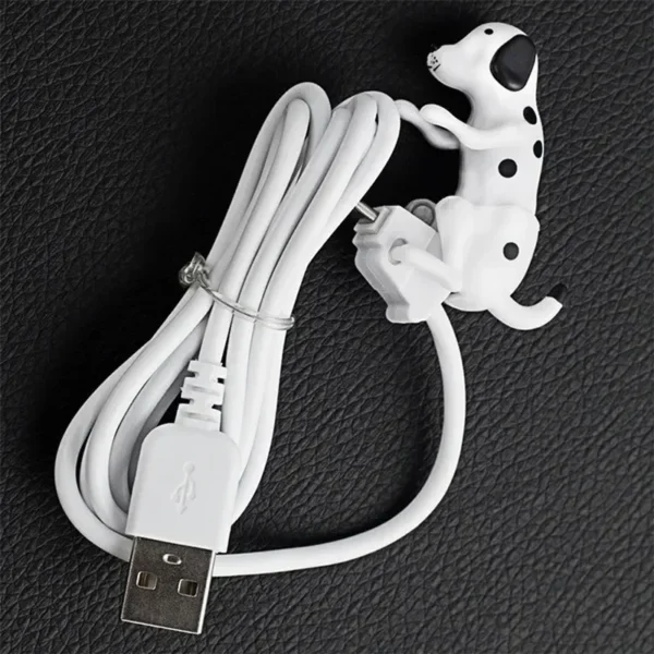 Câble USB C pour chien