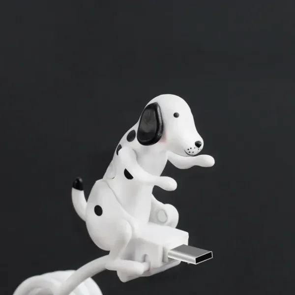 Câble USB C pour chien