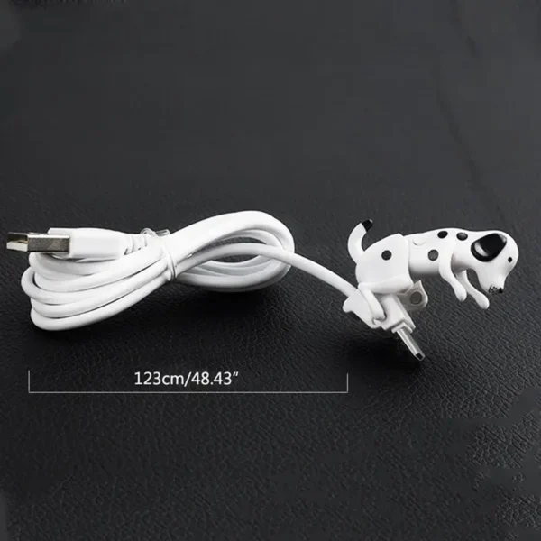 Câble USB C pour chien