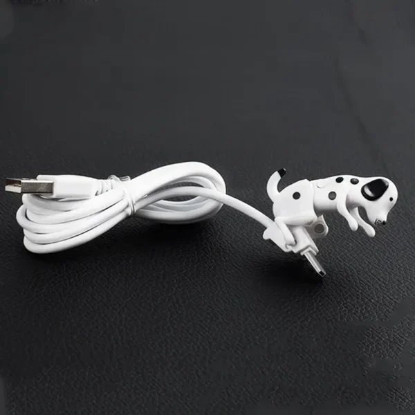 Câble USB C pour chien