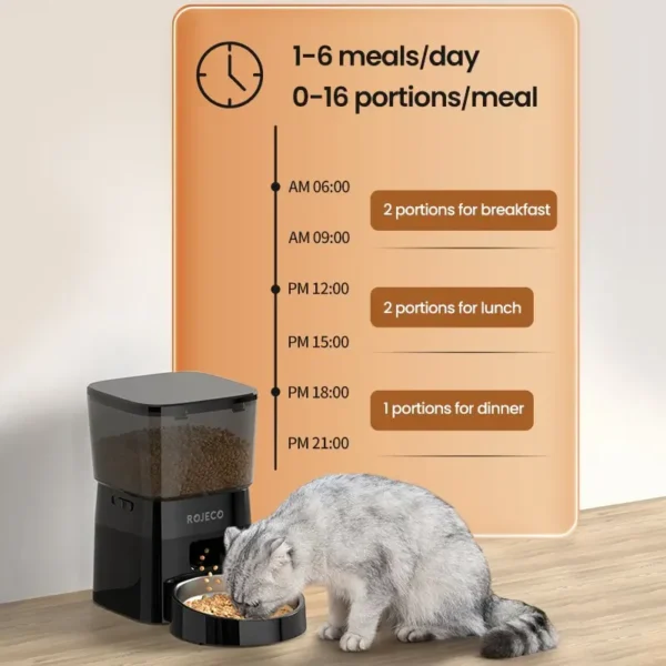 Mangeoire à minuterie pour animaux de compagnie