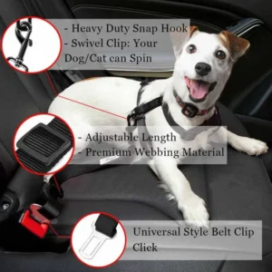 Ceinture de sécurité pour animaux de compagnie