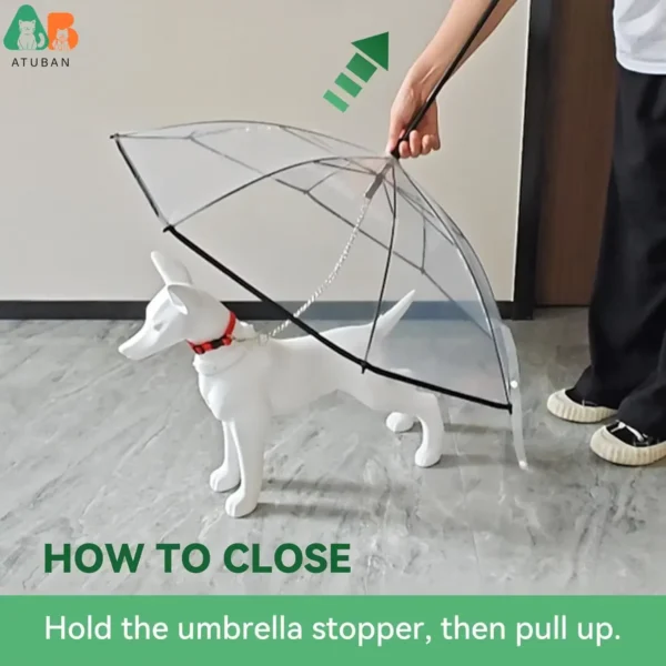 Parapluie pour chiens