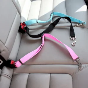 Ceinture de voiture pour animaux de compagnie