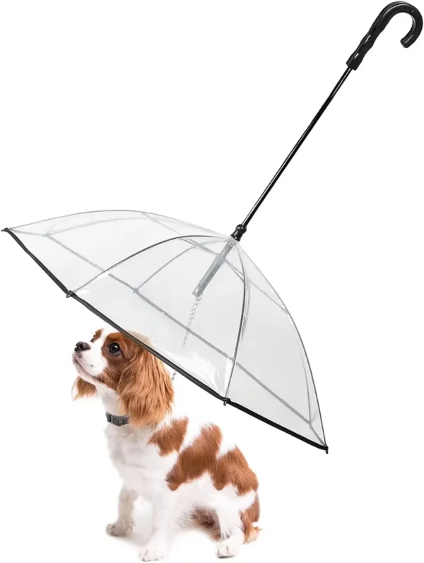 Parapluie pour chien avec laisse pour petits animaux, parapluie pour chiens, longueur du dos 20&quot;, poignée en forme de J, surface transparente du parapluie.