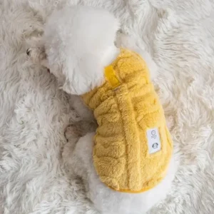 Pull pour un chat