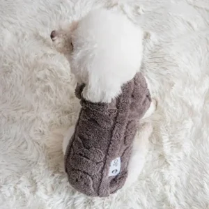Pull pour votre animal de compagnie