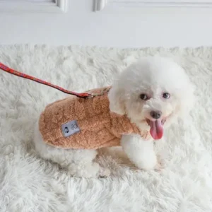 Pull pour votre animal de compagnie