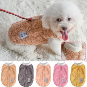 Vêtements pour chiens et chats