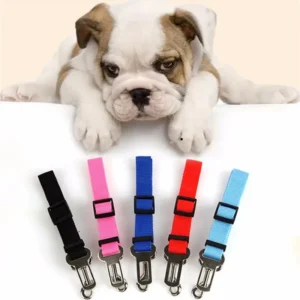 Ceinture de sécurité pour animaux de compagnie