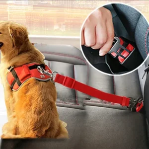 Ceinture de sécurité pour animaux de compagnie