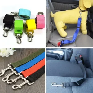 Ceinture de sécurité pour chien