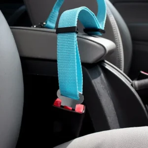 Ceinture de sécurité pour chien