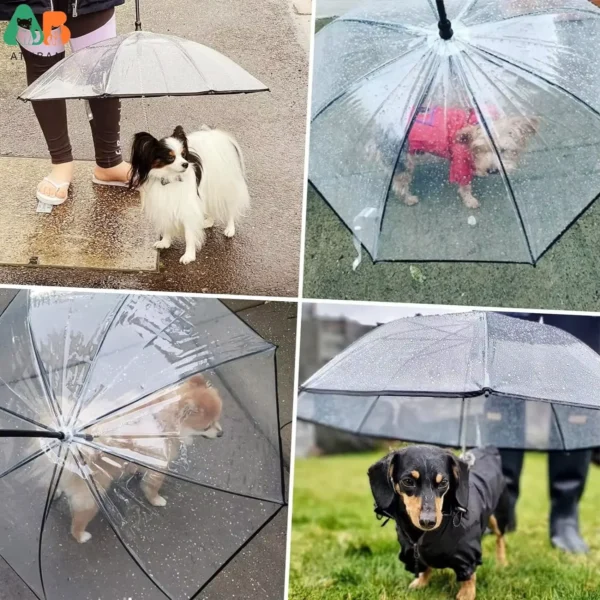 Parapluie pour chiens